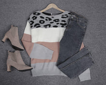 Load image into Gallery viewer, Leopard Striped Long Sleeve Sweater