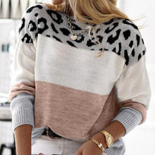 Load image into Gallery viewer, Leopard Striped Long Sleeve Sweater