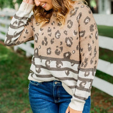 Load image into Gallery viewer, Brown Leopard Striped Sweater