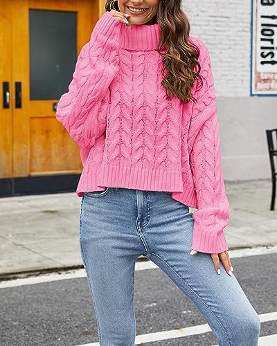 Casual High Neck Cropped Knit Pullover Sweater