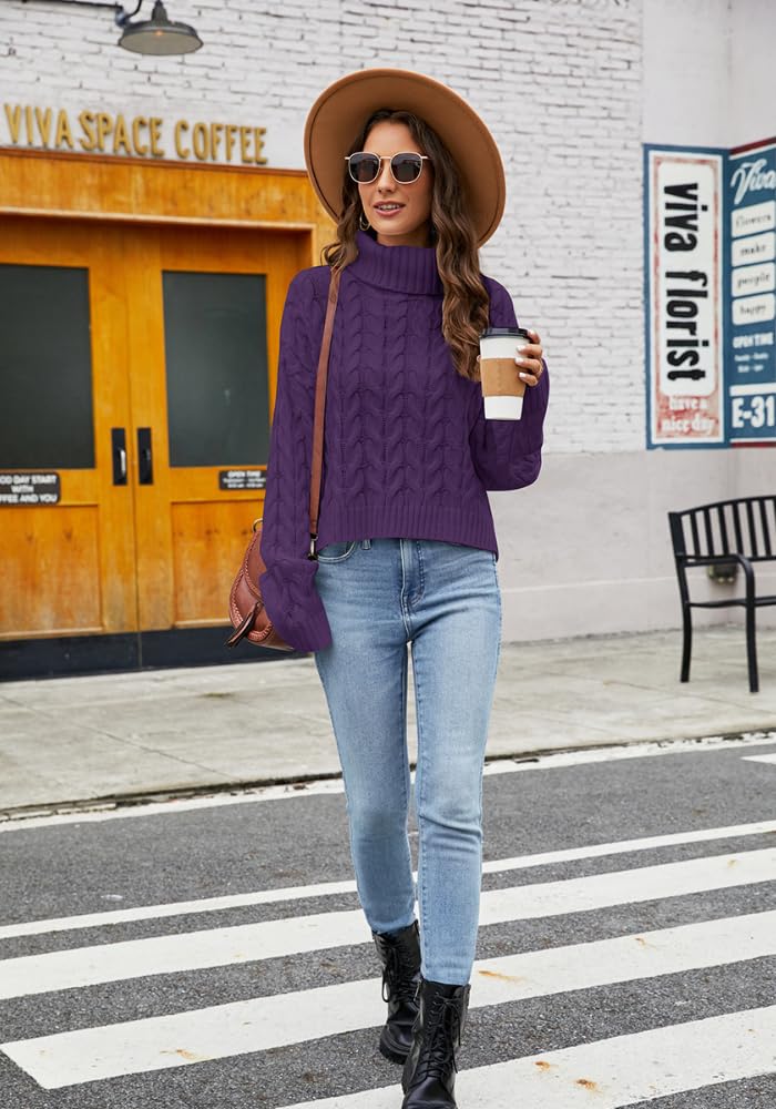 Casual High Neck Cropped Knit Pullover Sweater