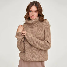 Load image into Gallery viewer, Simple Turtleneck Long Sleeve Sweater
