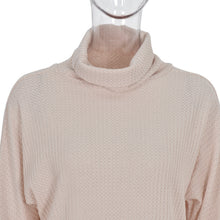 Load image into Gallery viewer, Turtle Neck Long Sleeve Top
